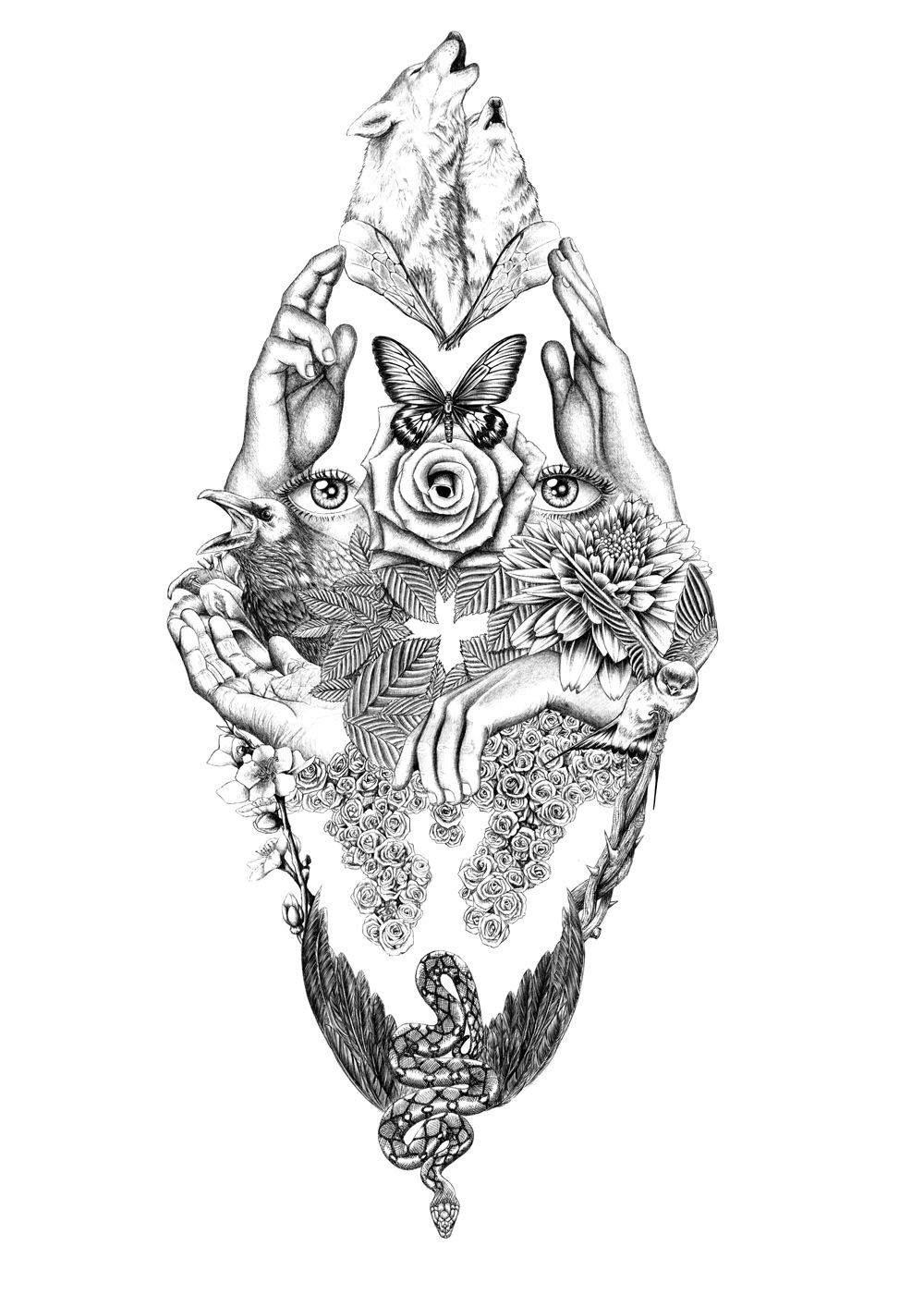 Illustrations by Meacci