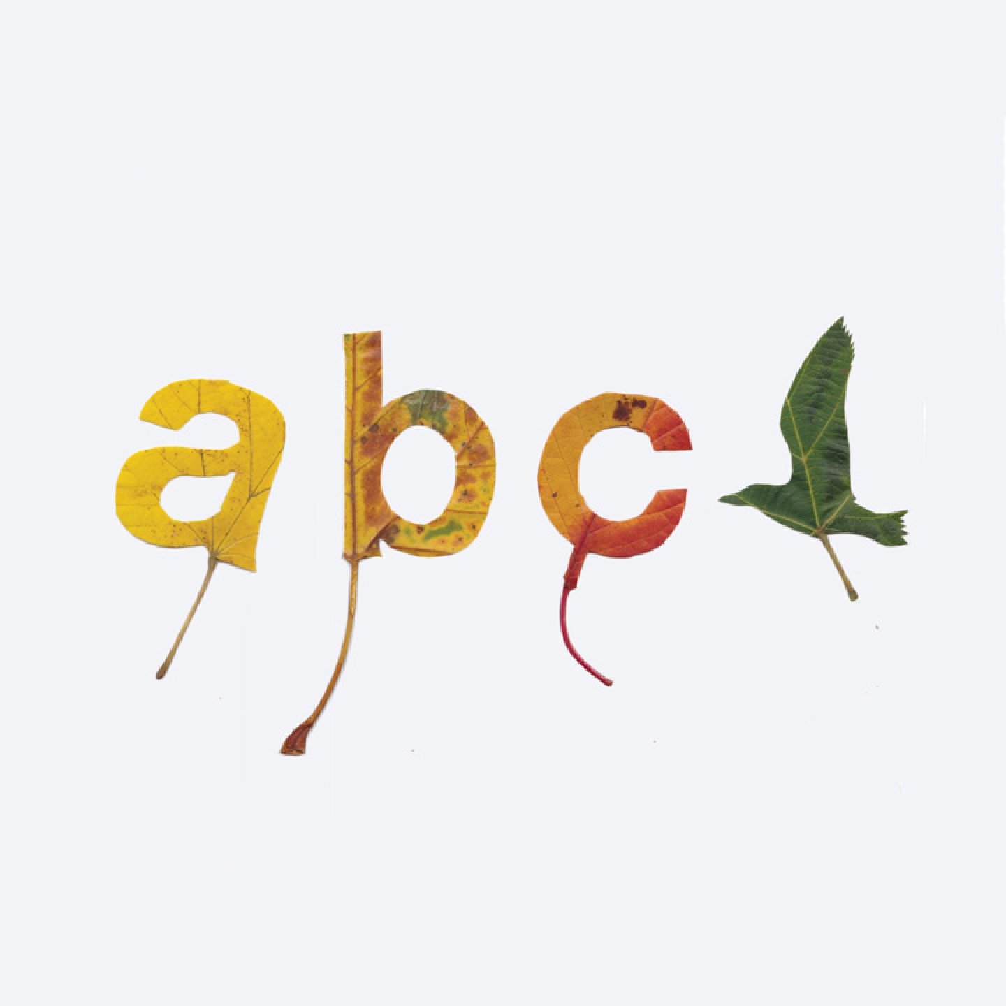 leaf alphabet IGNANT