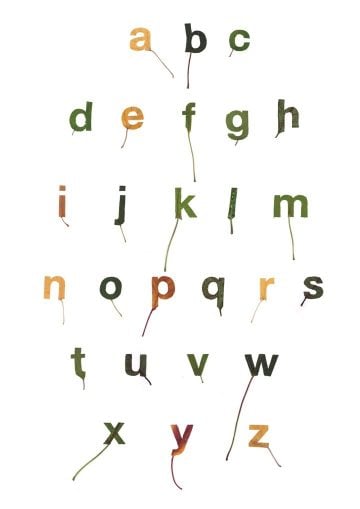 leaf-typography02