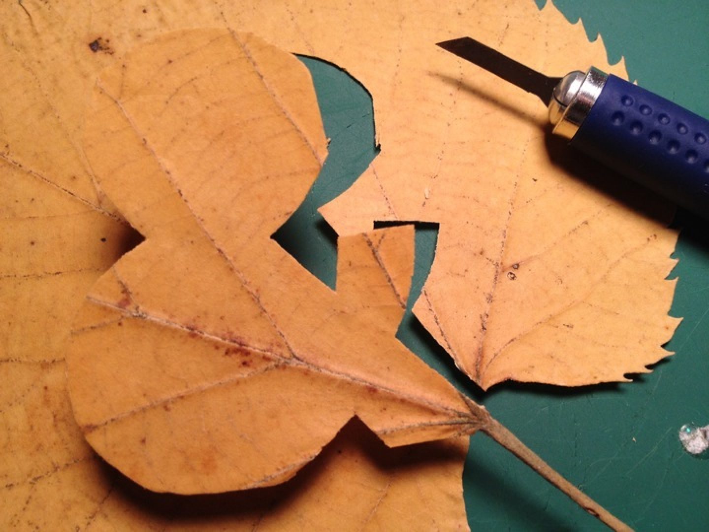 leaf alphabet IGNANT