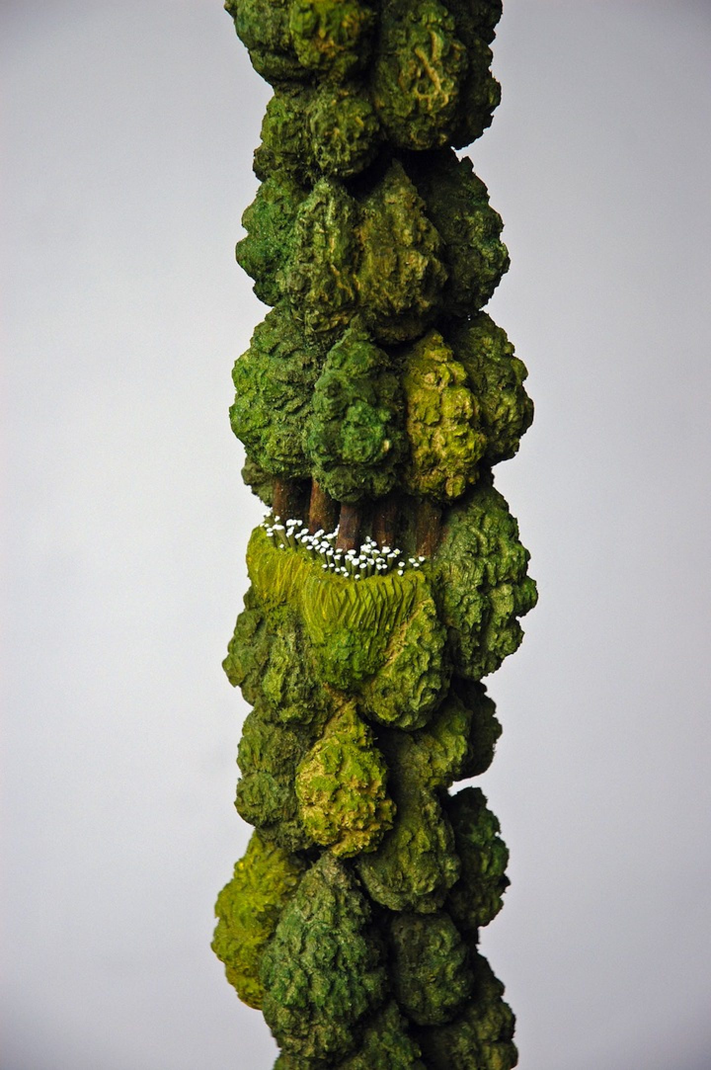 Keisuke Tanaka IGNANT