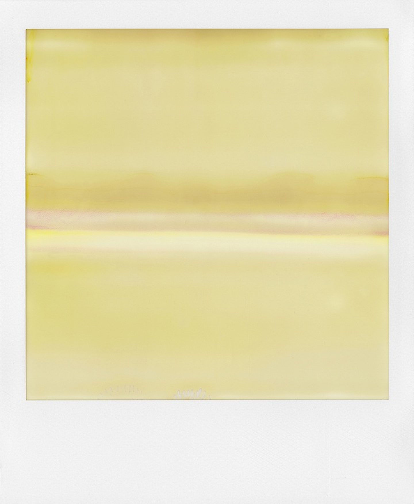 William Miller IGNANT