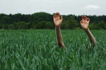 Flickr_Friday4.3_pre