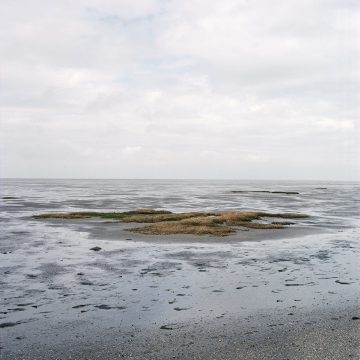 Hallig_02