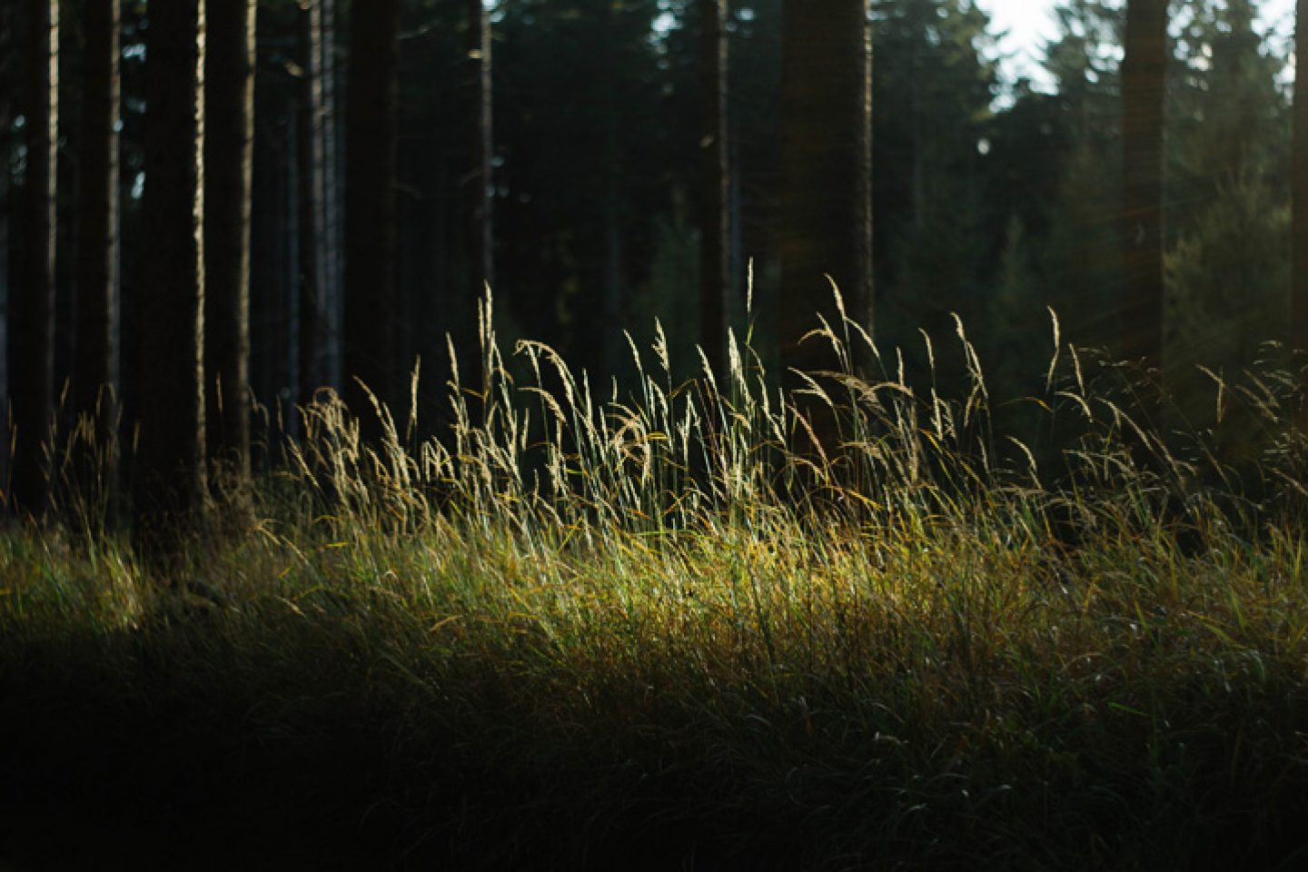 Martin Ilgner IGNANT