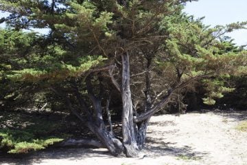 FRANCE_TRIP_©MARLEN_MUELLER_015