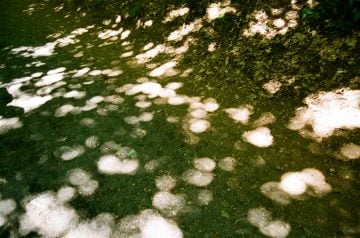 FRANCE_TRIP_©MARLEN_MUELLER_033