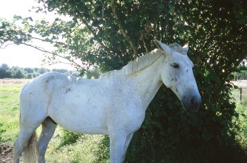 FRANCE_TRIP_©MARLEN_MUELLER_041