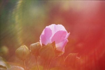 24_hours_Li_Hui_15