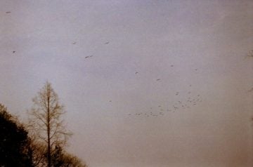 24_hours_Li_Hui_23