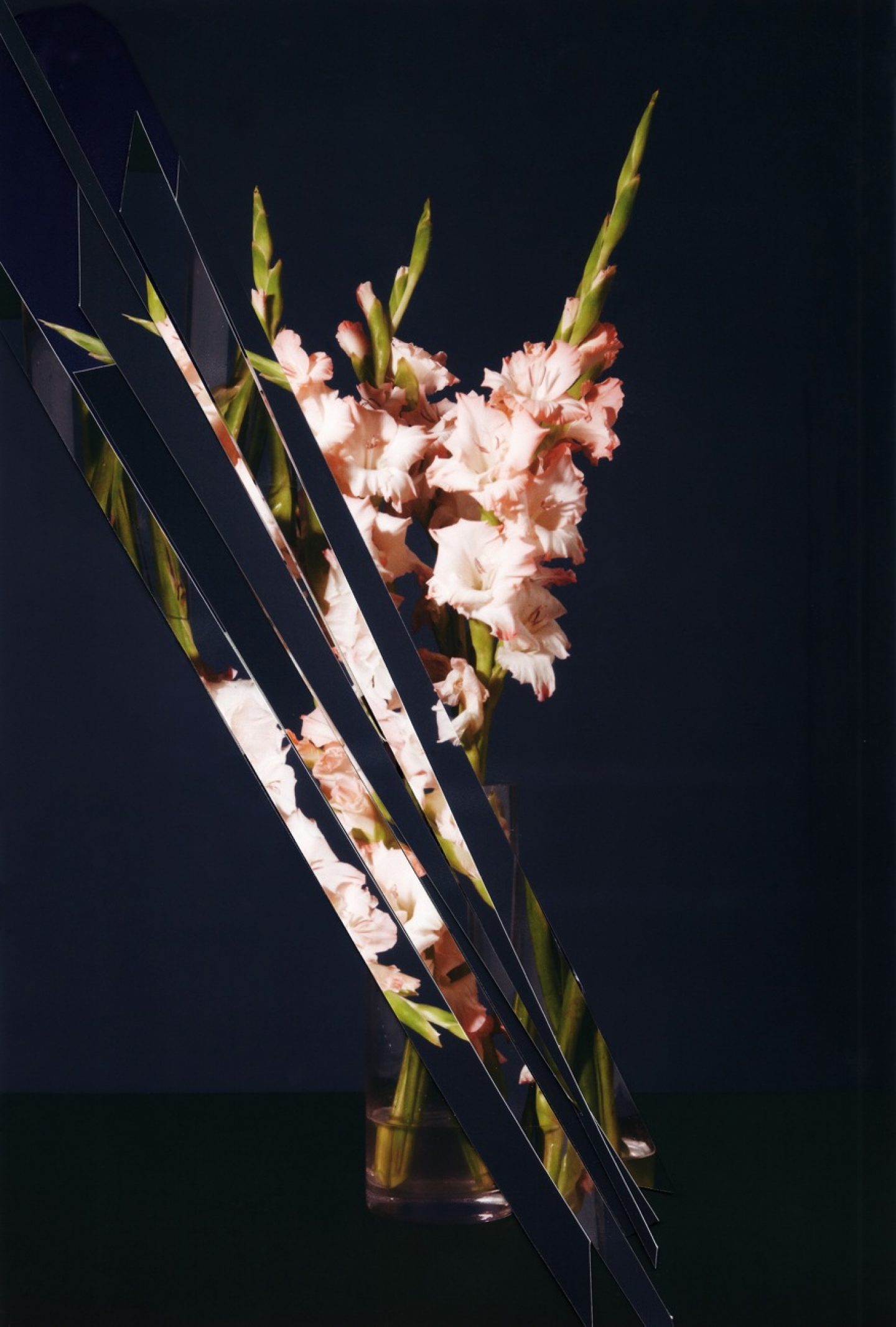 Edyth Photography Edith Bergfors - IGNANT
