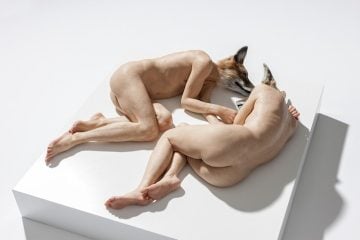 Sam Jinks : Unsettled Dogs 2012 / Sullivan + Strumpf
