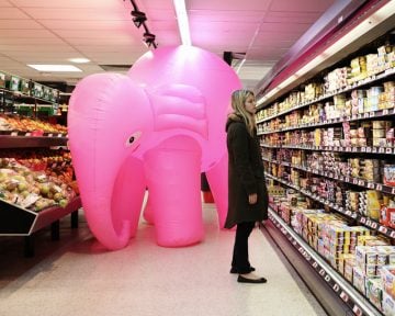 elephant01