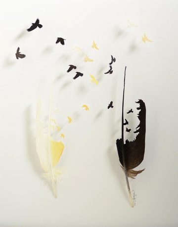 featherart01