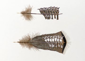 featherart07