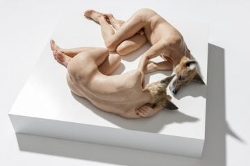 Sam Jinks : Unsettled Dogs 2012 / Sullivan + Strumpf
