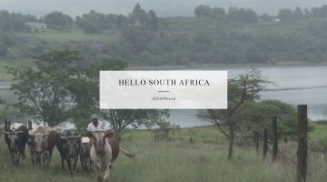 southafrica_banner
