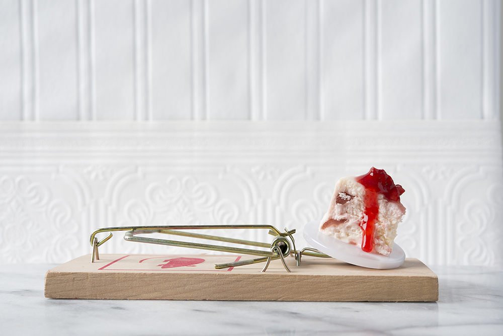 Davide Luciano_Claudia Ficca_Gourmet Mouse Traps03