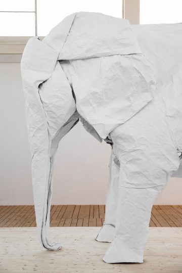 WHITE ELEPHANT