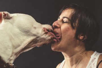 Humans_Kissing_Dogs_01