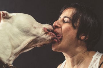 Humans_Kissing_Dogs_pre