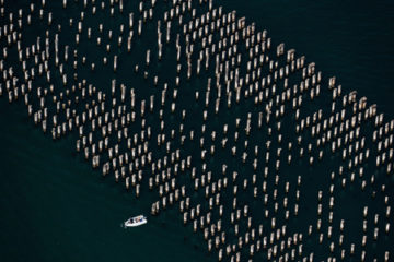 Melbourne_from_Abovepre