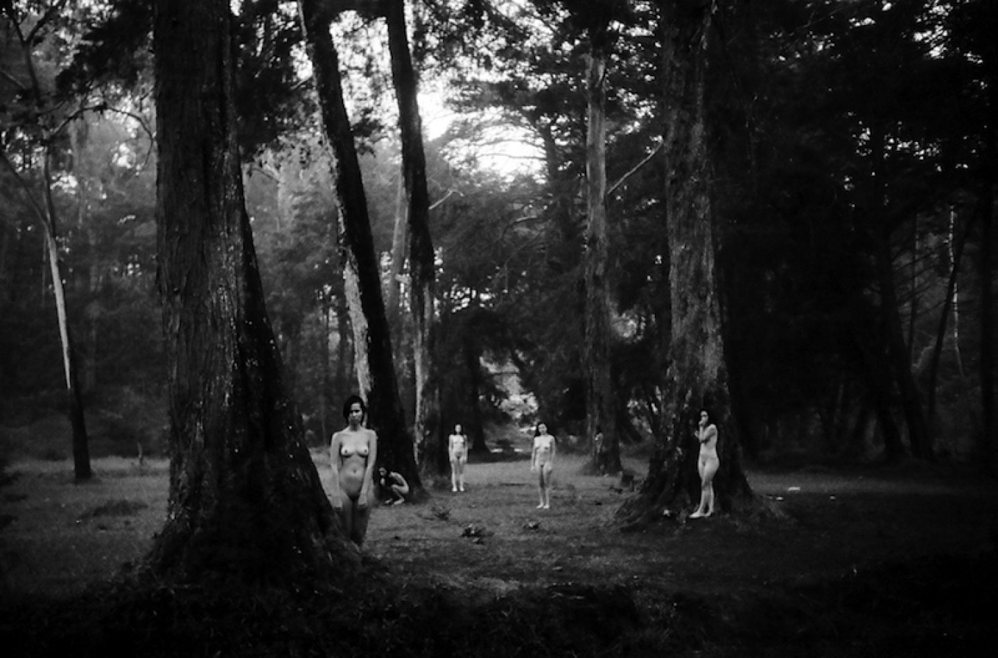 Nudes by Daniel González - IGNANT