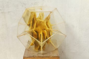 Ren_Ri_Beeswax_Sculptures_01