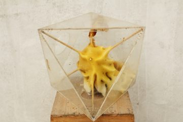 Ren_Ri_Beeswax_Sculptures_02