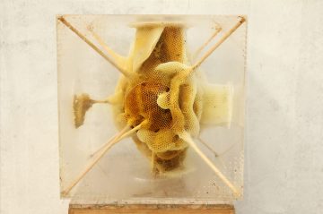 Ren_Ri_Beeswax_Sculptures_03