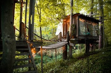 Peter_Bahouth_Treehouse_01