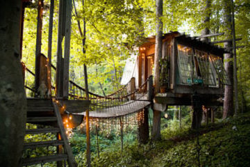 Peter_Bahouth_Treehouse_pre