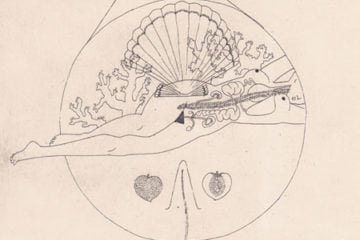 harrietleemerrion-illustration_pre