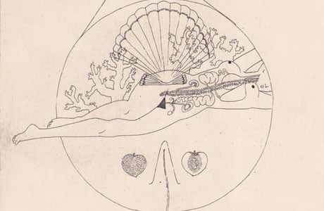 Illustrations by Harriet Lee Merrion