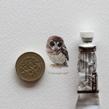 lorraine_Loots_Postcards_For_Ants_02