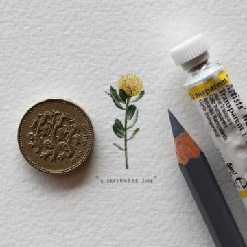 lorraine_Loots_Postcards_For_Ants_07