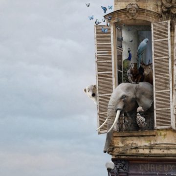 Flying_Houses_Laurent_Chehere_02