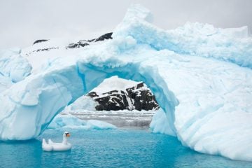 Gray Malin_Antarctica_02