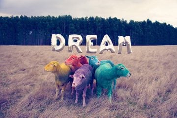 gray-malin-dream-series-rainbow-sheep-01