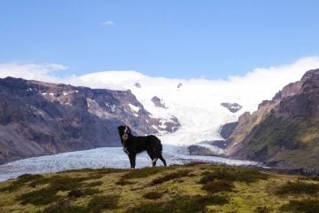 Iceland_Ignant_015