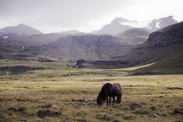 Iceland_Ignant_024
