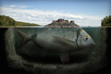 Erik_Johansson_05