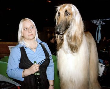 crufts 001