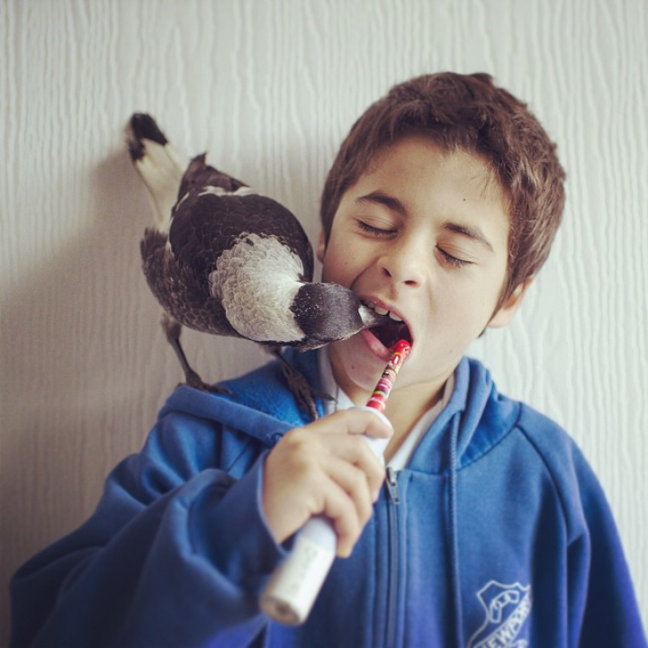 A Friendship Between A Bird And A Boy captured by Cameron Bloom - IGNANT