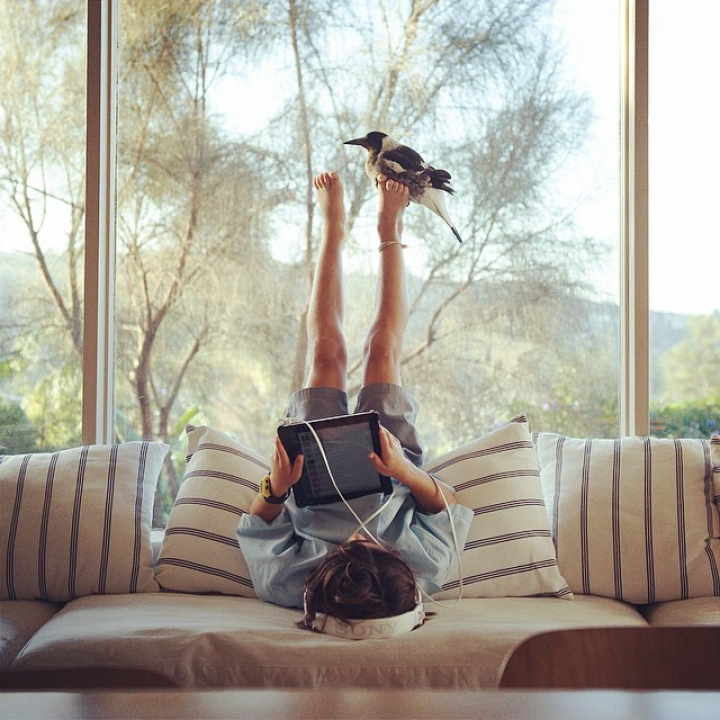 A Friendship Between A Bird And A Boy captured by Cameron Bloom - IGNANT