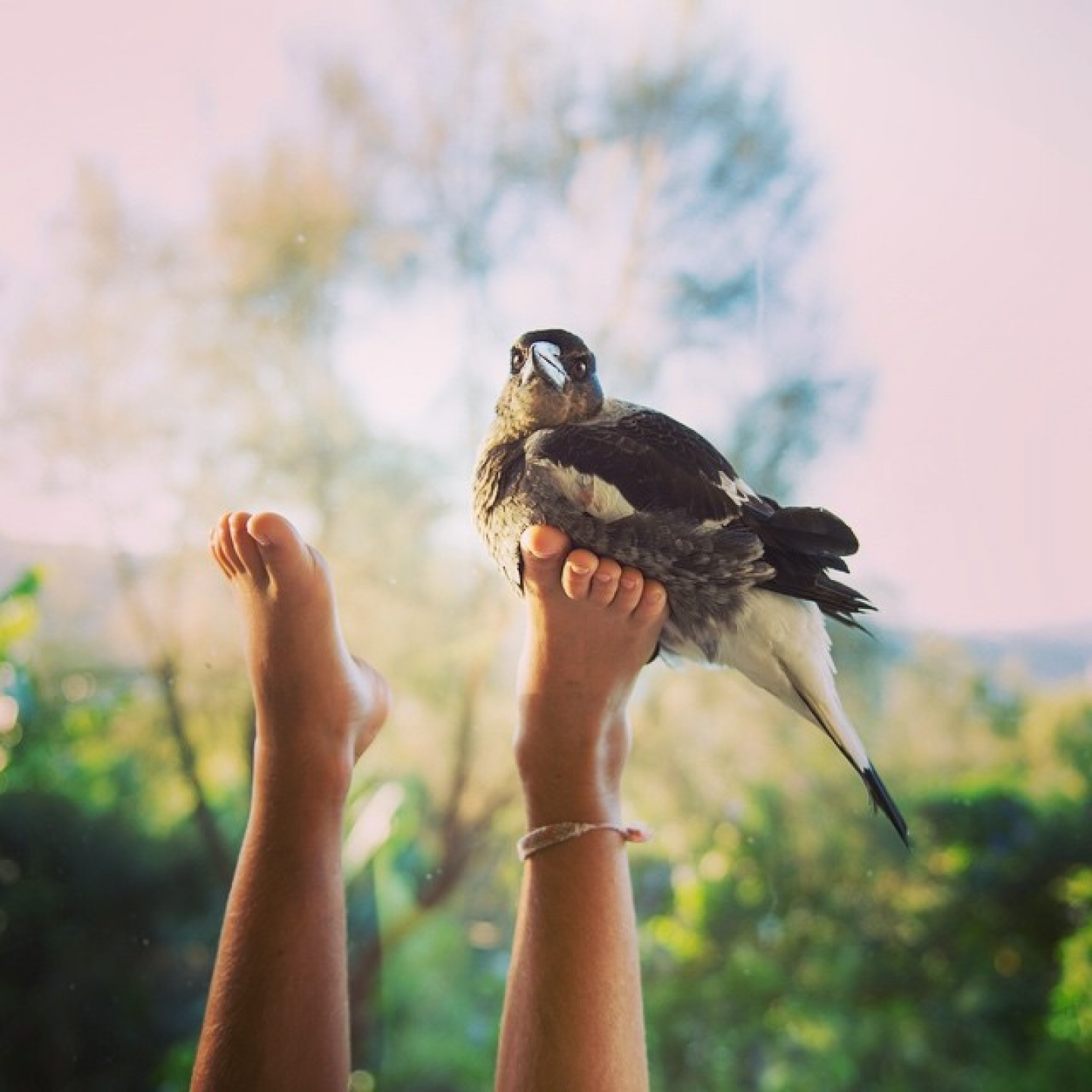 A Friendship Between A Bird And A Boy captured by Cameron Bloom - IGNANT
