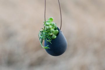 Wearable_Planter_02