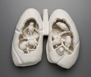 kate macdowell_01