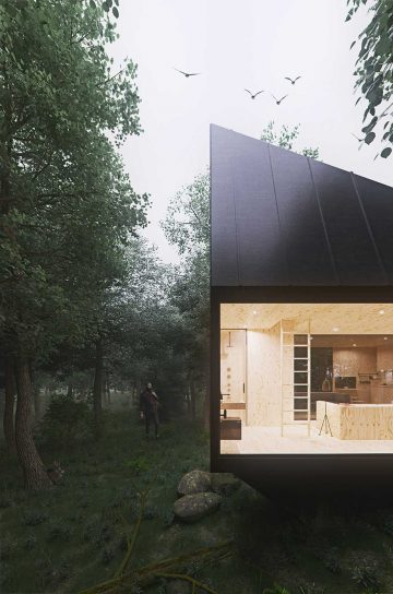 tomek_michalski_cabin_in_the_forest_2