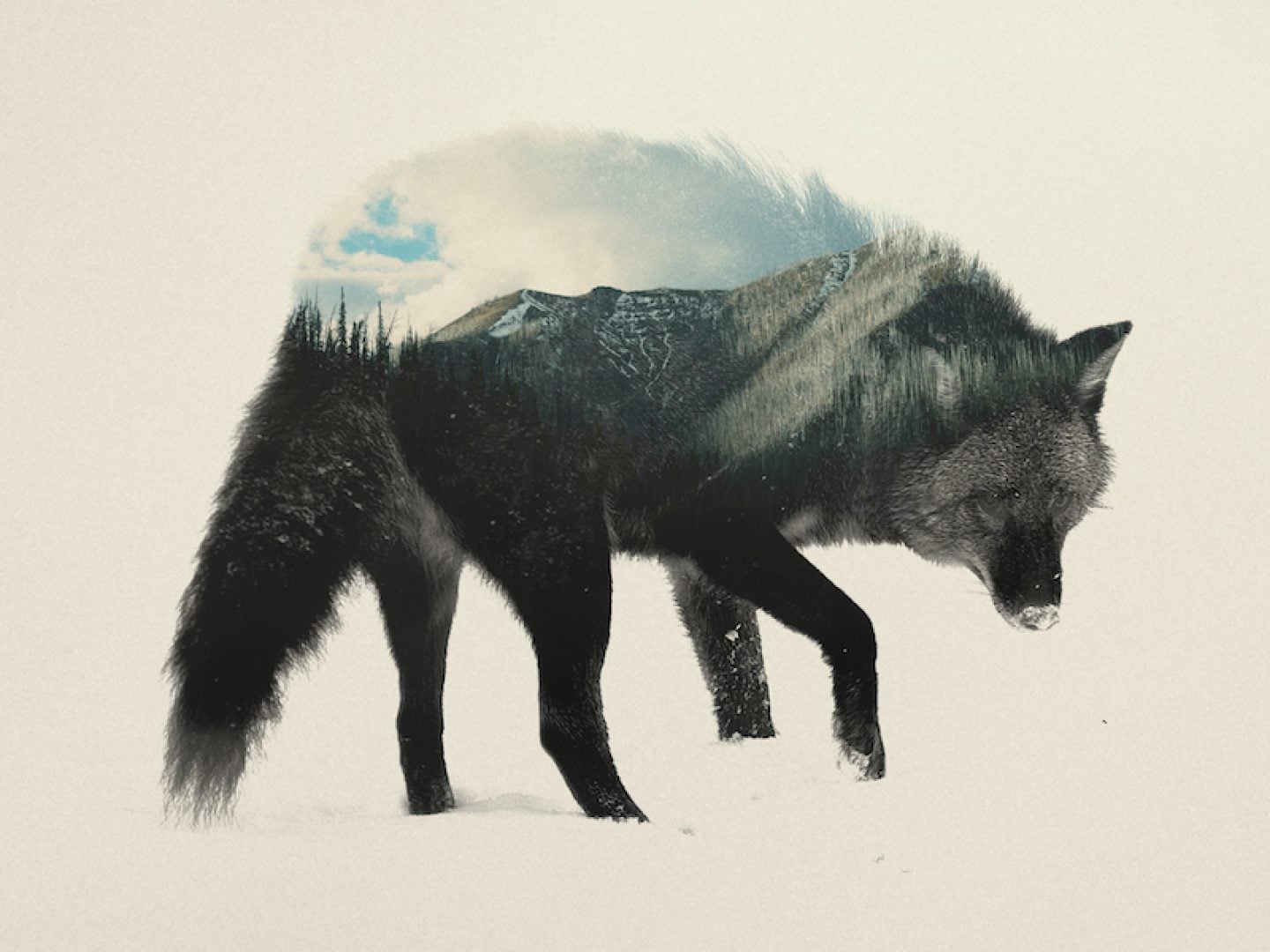 Double Exposure Animal Portraits By Andreas Lie - IGNANT